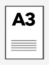 A3
